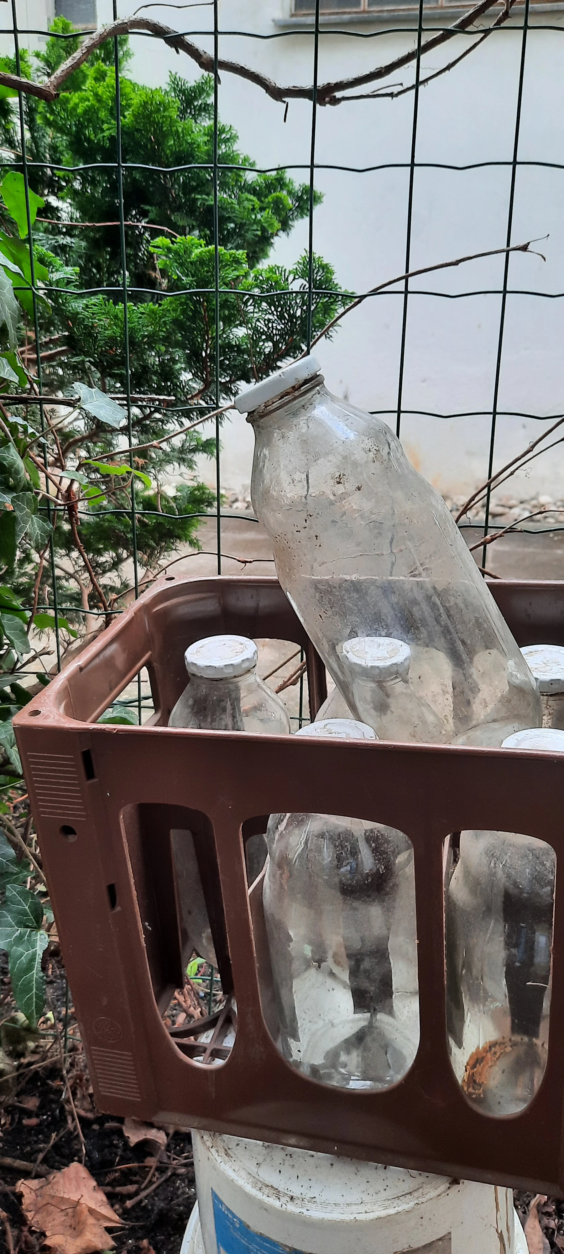 keine Beschreibung vorhanden