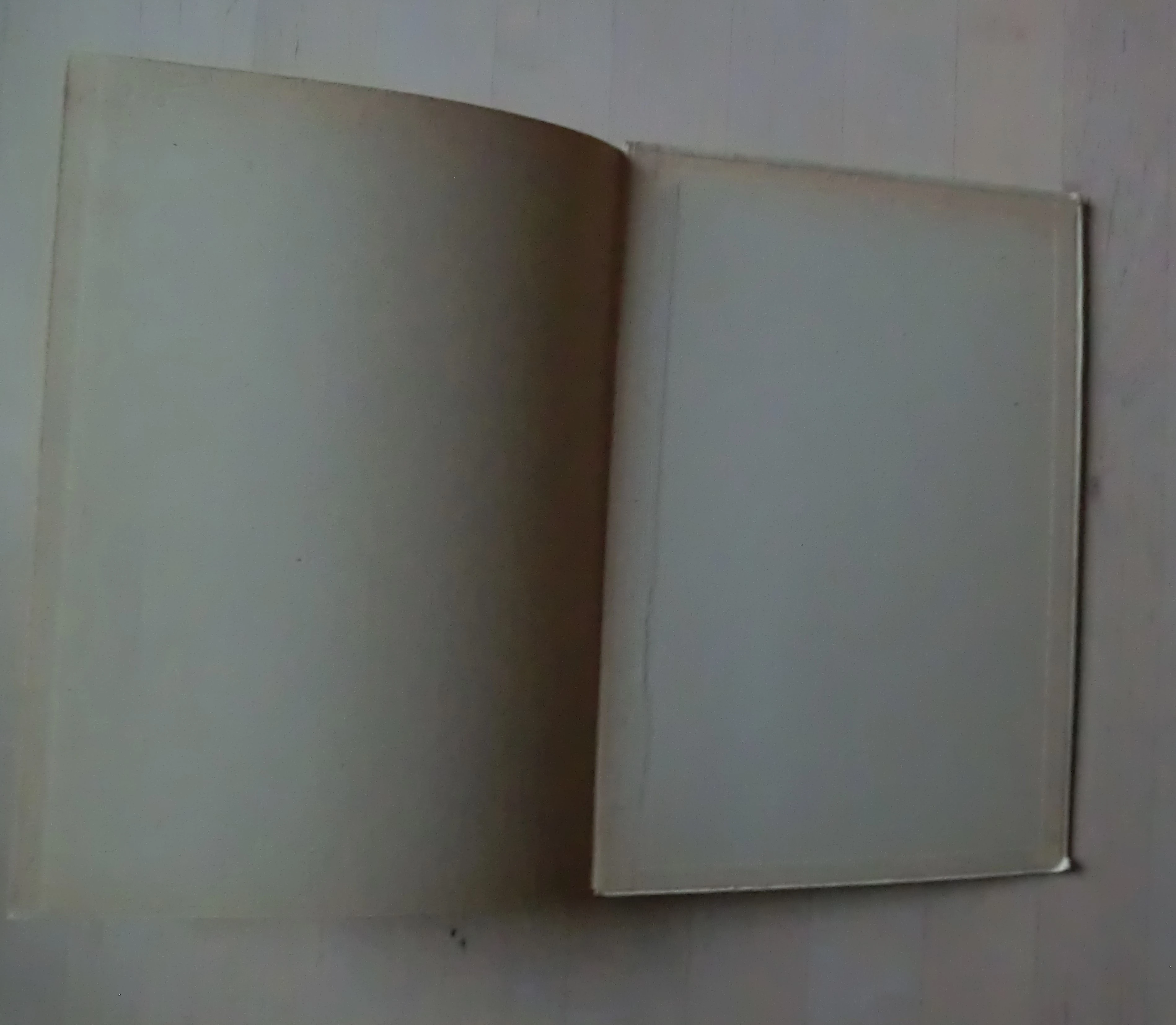 keine Beschreibung vorhanden