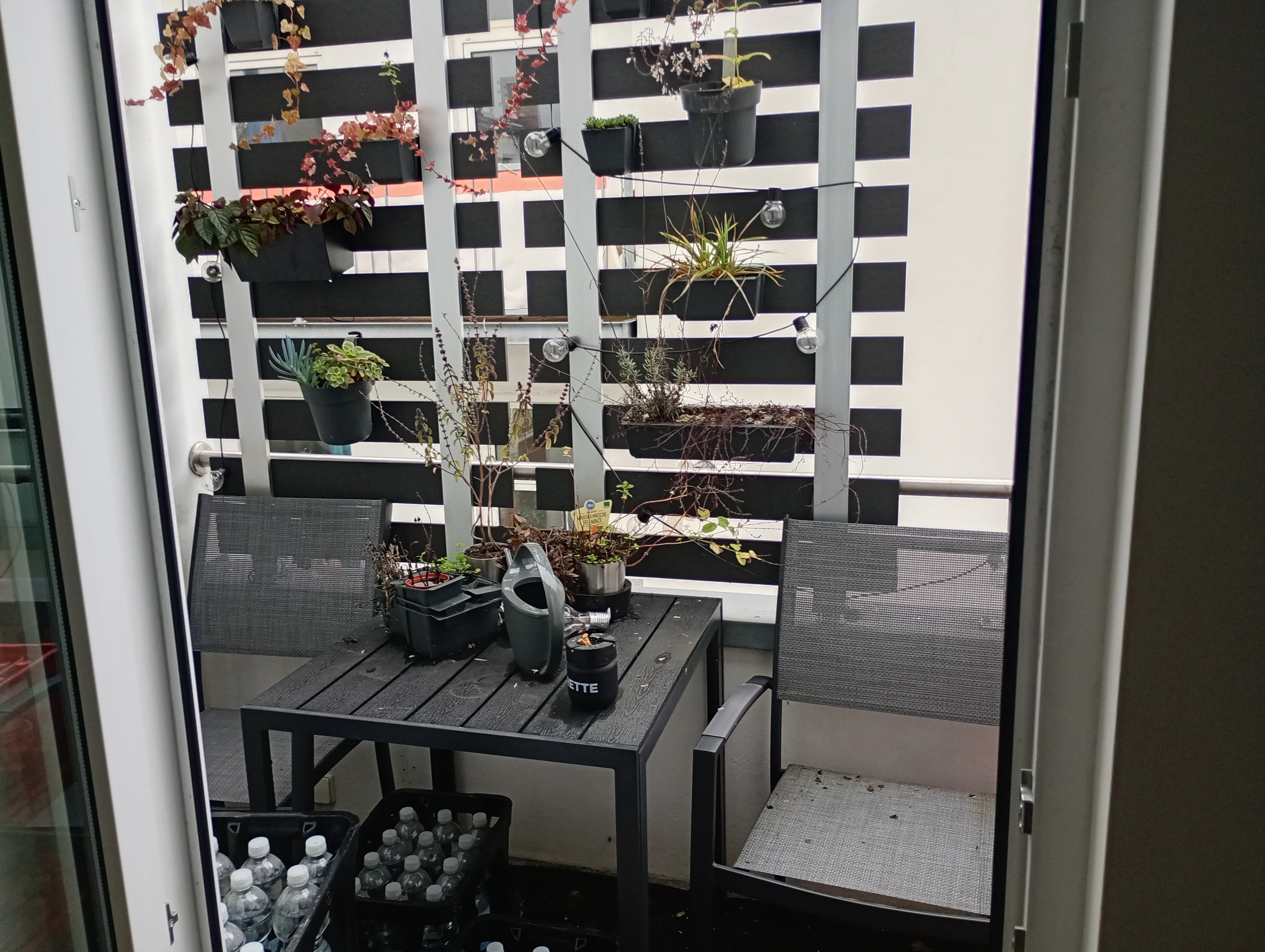 keine Beschreibung vorhanden