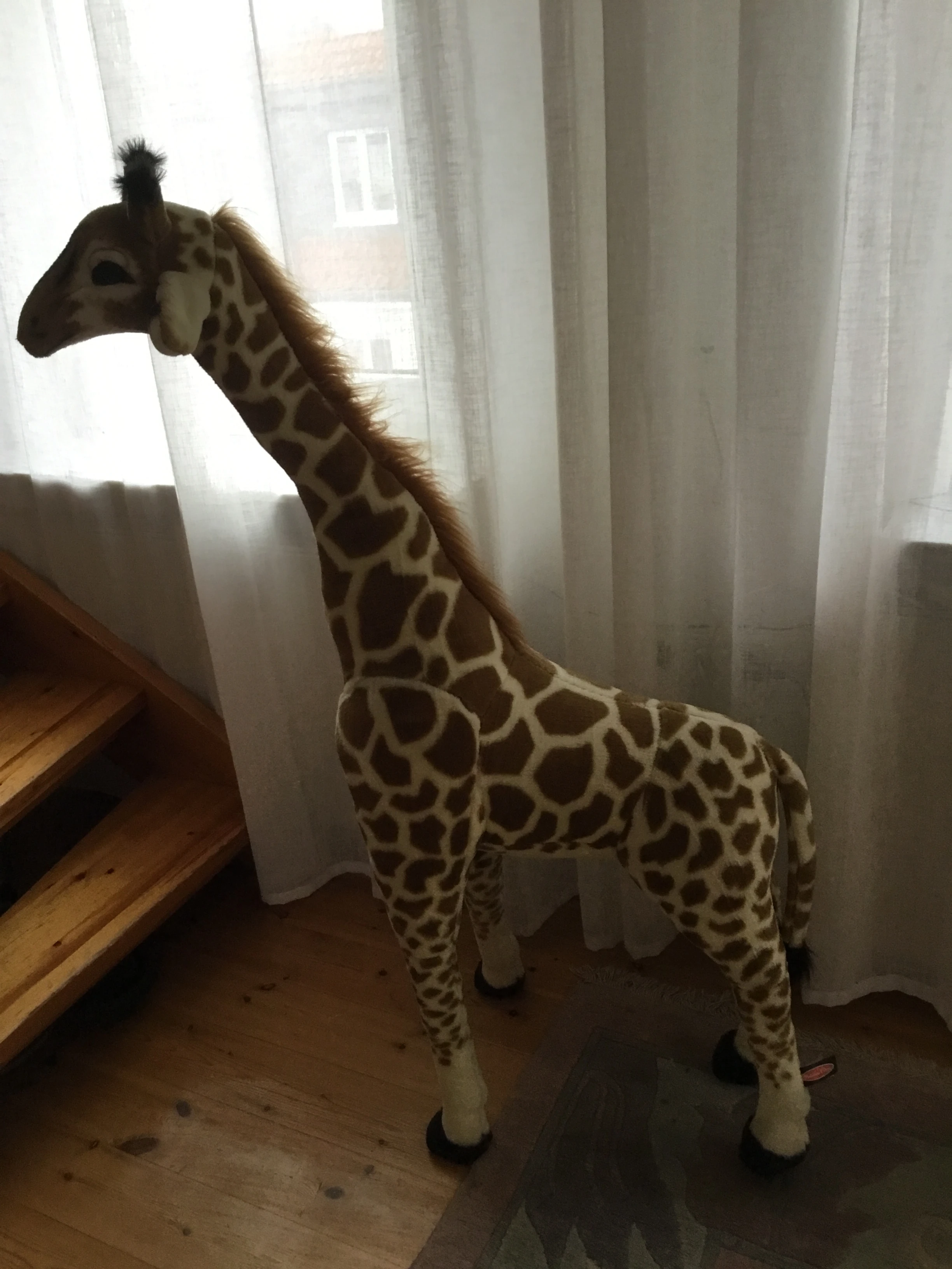 keine Beschreibung vorhanden