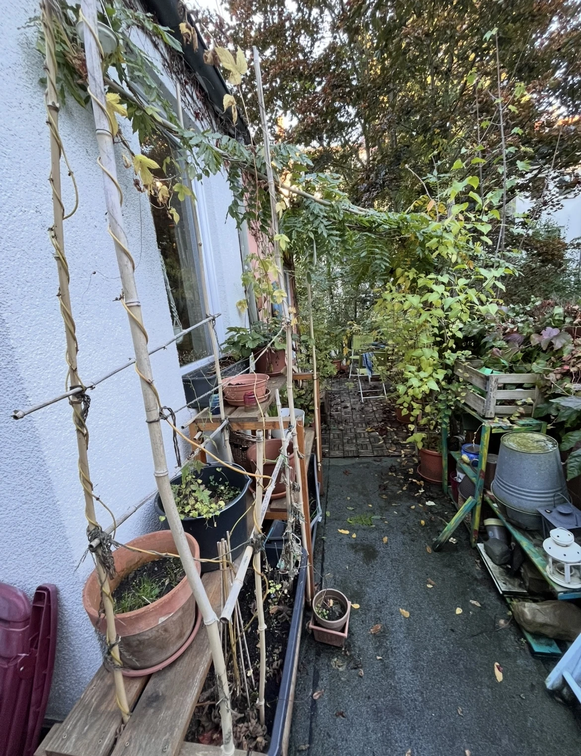 keine Beschreibung vorhanden