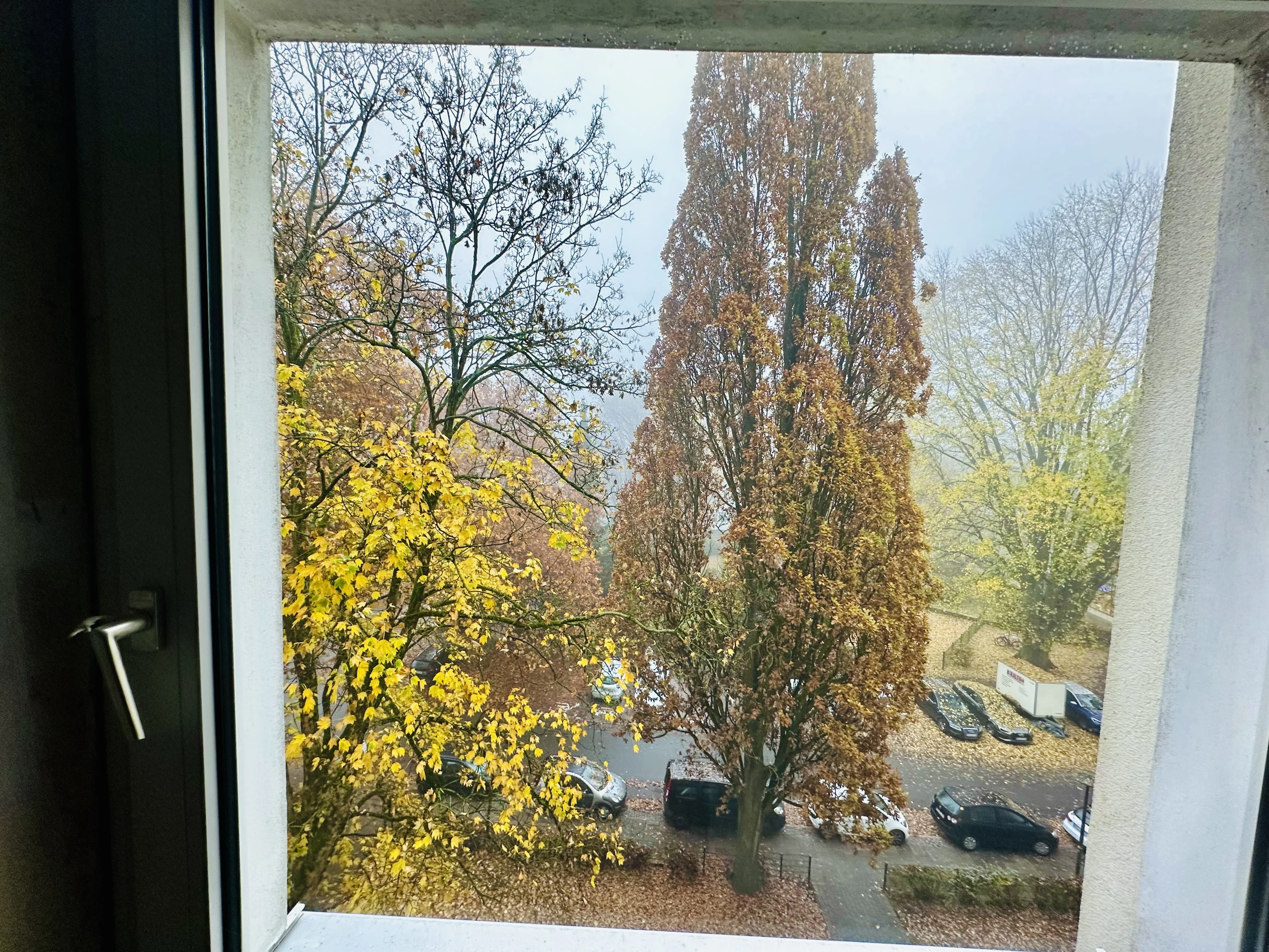 keine Beschreibung vorhanden