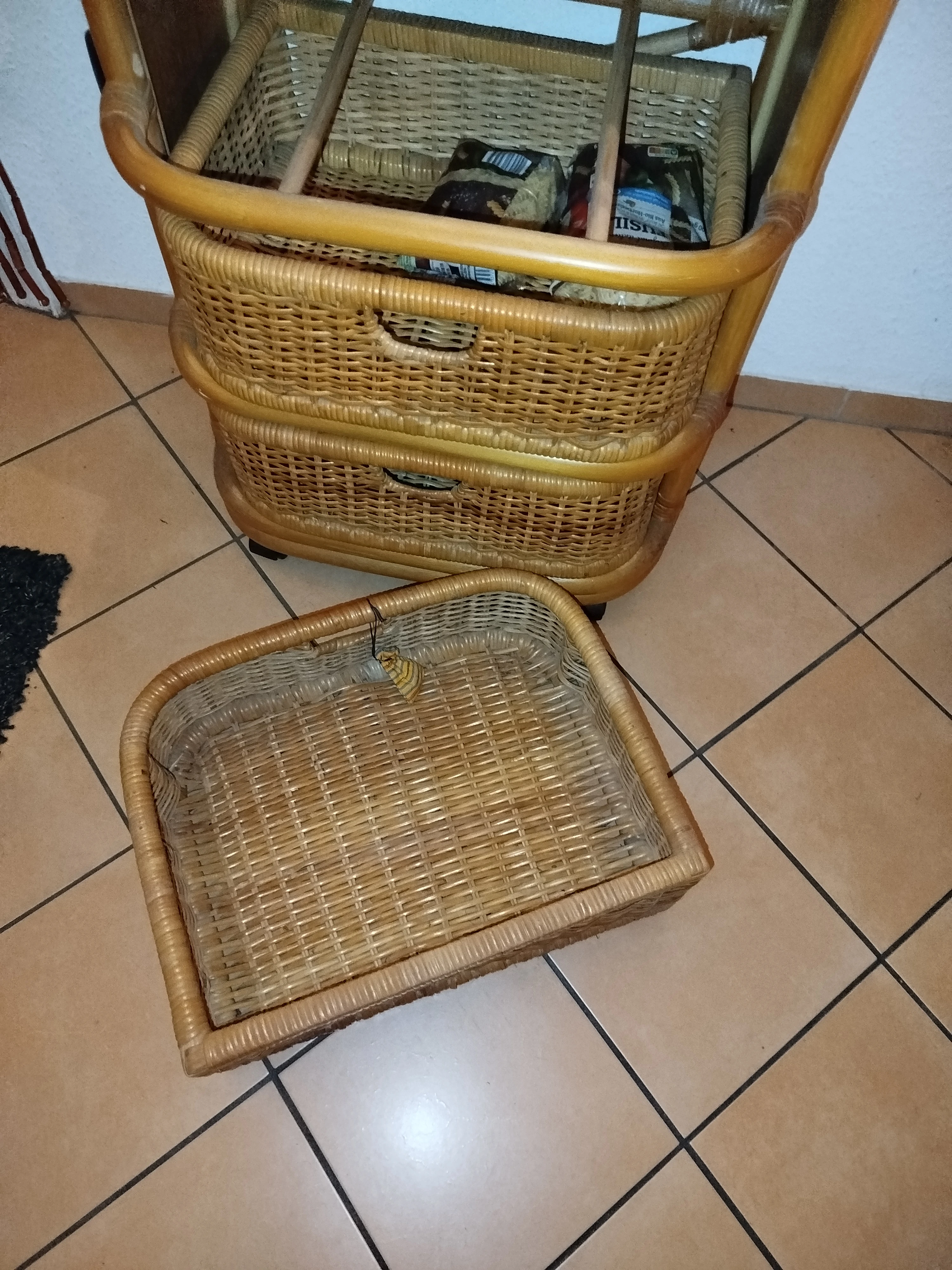 keine Beschreibung vorhanden