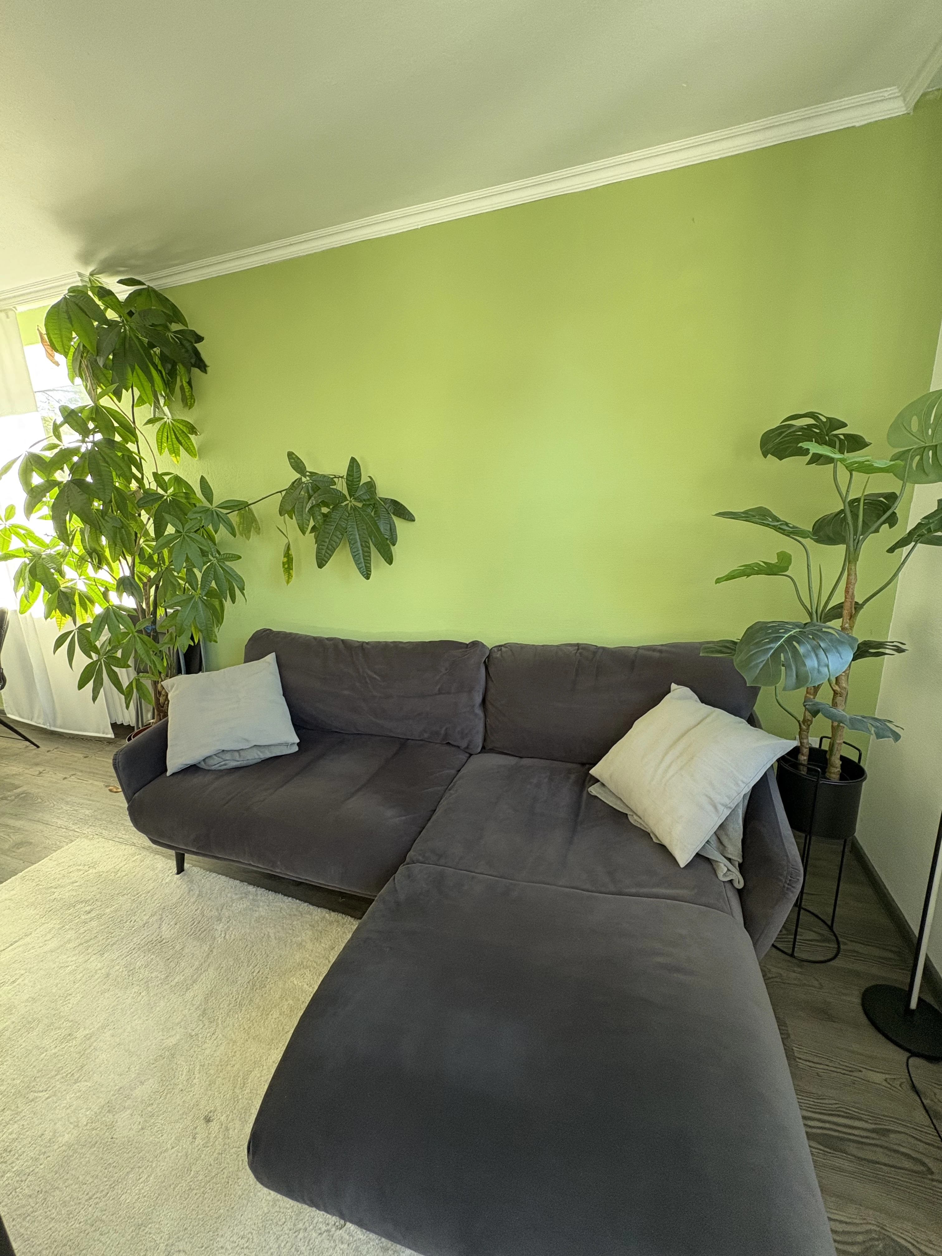 keine Beschreibung vorhanden